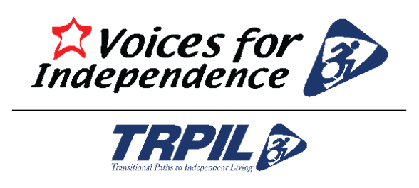 VFI-TRIPL logo
